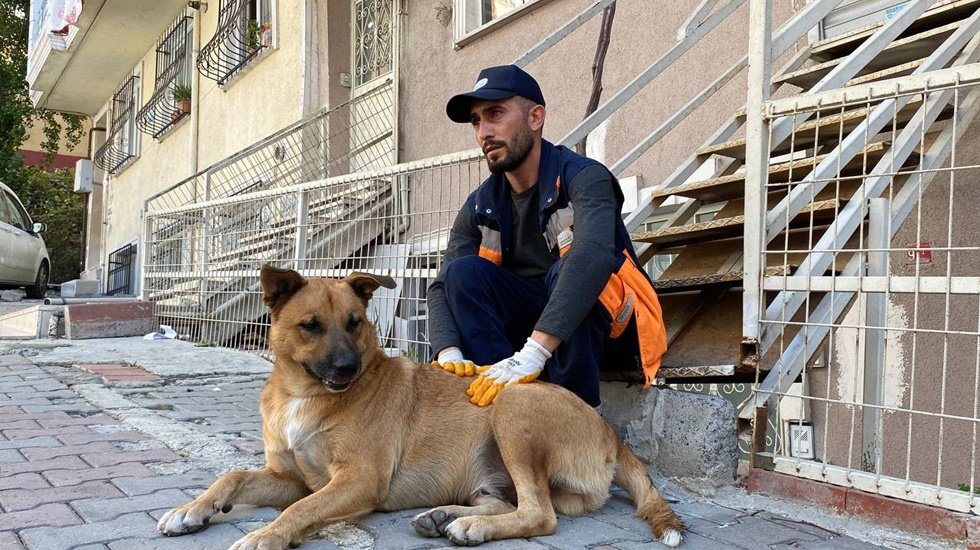Temizlik görevlisi saldırgan denilen köpekle yiyeceğini paylaştı, bir yıldır yanından ayrılmıyor