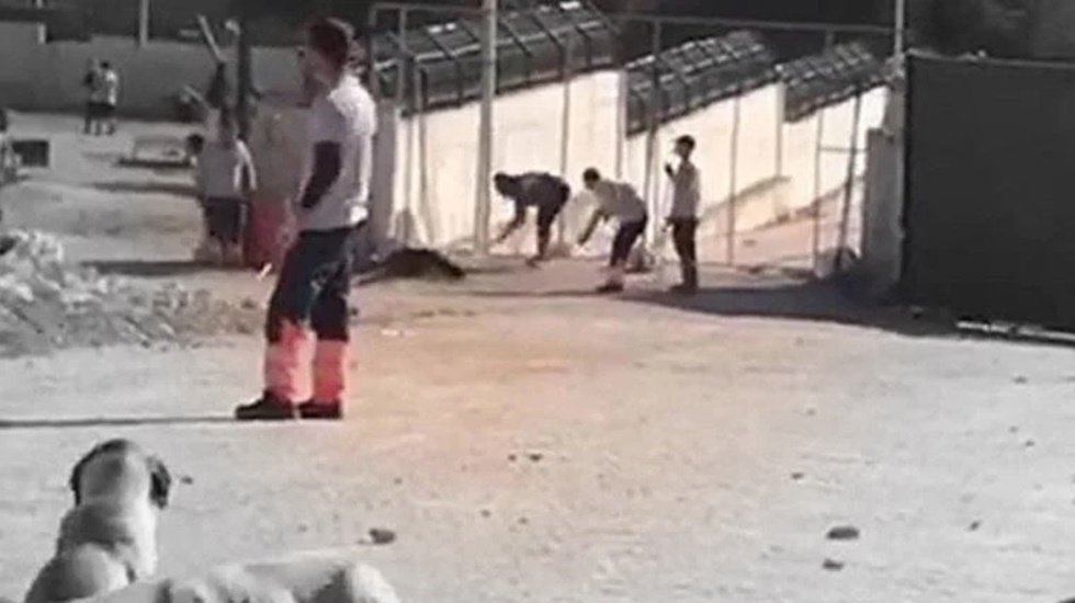 Konya'da hayvan bakımevinde k&ouml;peğe k&uuml;rekle vura vura &ouml;ld&uuml;ren 2 kişi tutuklandı
