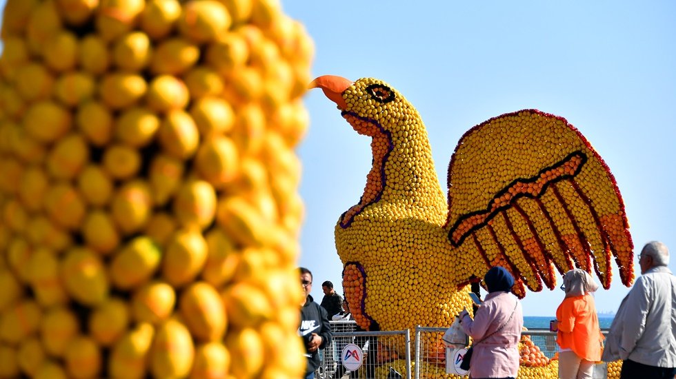 &lsquo;Uluslararası Mersin Narenciye Festivali&rsquo;nden renkli g&ouml;r&uuml;nt&uuml;ler&hellip;