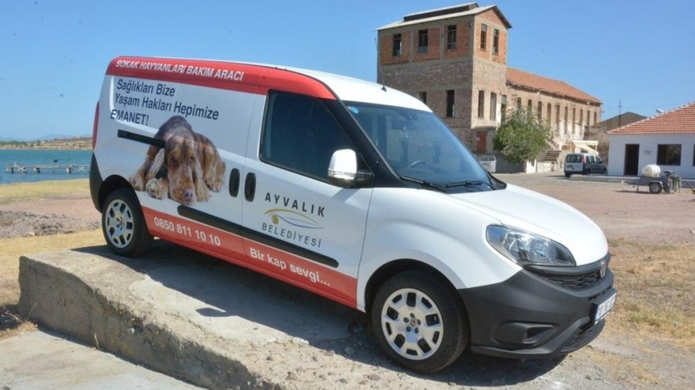 2022 yılı boyunca binlerce sokak hayvanına tıbbi m&uuml;dahale