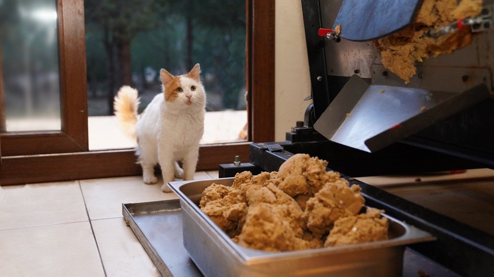 Ayvalık Belediyesi sokak hayvanları i&ccedil;in mama &uuml;retiyor