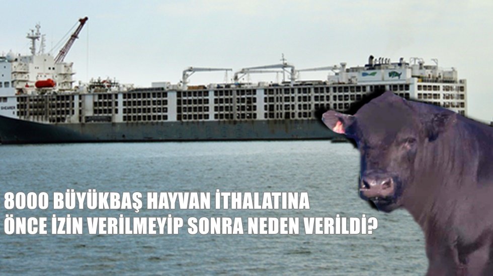 Barut: "Susmayın, a&ccedil;ıklama yapın"