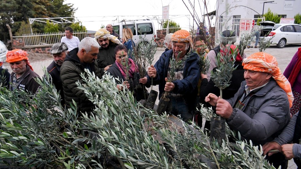 On binlerce fidan B&uuml;y&uuml;kşehir sayesinde toprakla buluştu