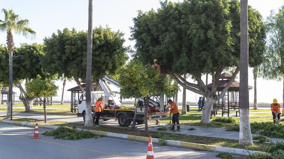 B&uuml;y&uuml;kşehir&rsquo;den ağa&ccedil;lara kış bakımı