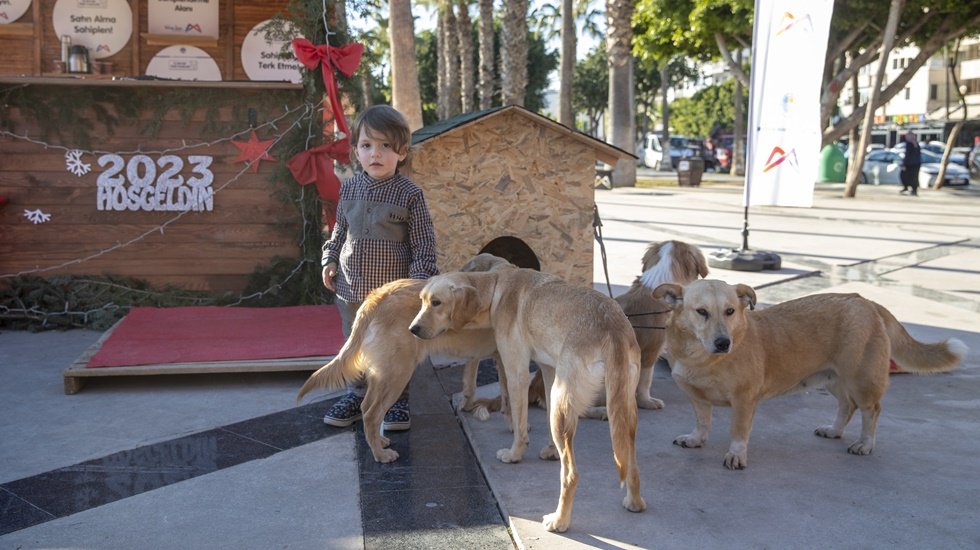 Can dostların sahiplendirme standı &lsquo;Yılbaşı Pazarı&rsquo;nda