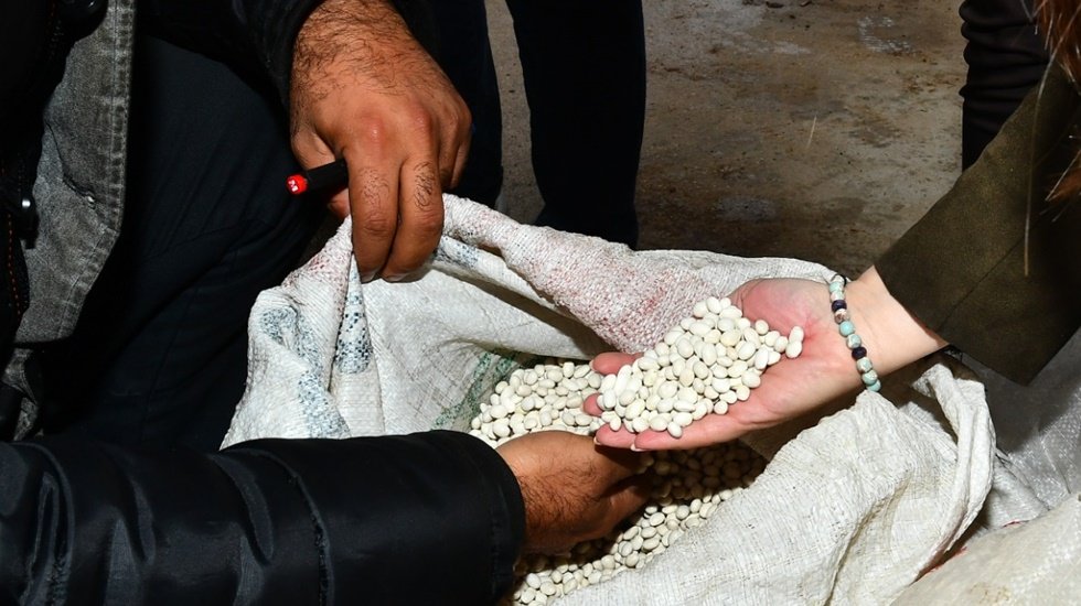 İBB&rsquo;den Yerli kuru fasulye &uuml;reticisi &ccedil;ift&ccedil;iye destek