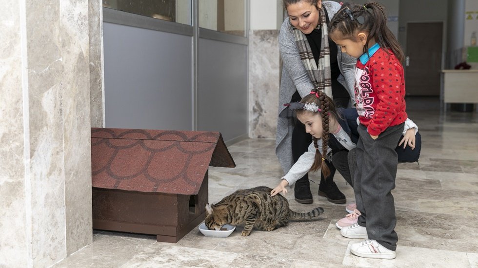 B&uuml;y&uuml;kşehir&rsquo;den minik Ela&rsquo;ya &lsquo;Kedi Evi&rsquo; s&uuml;rprizi