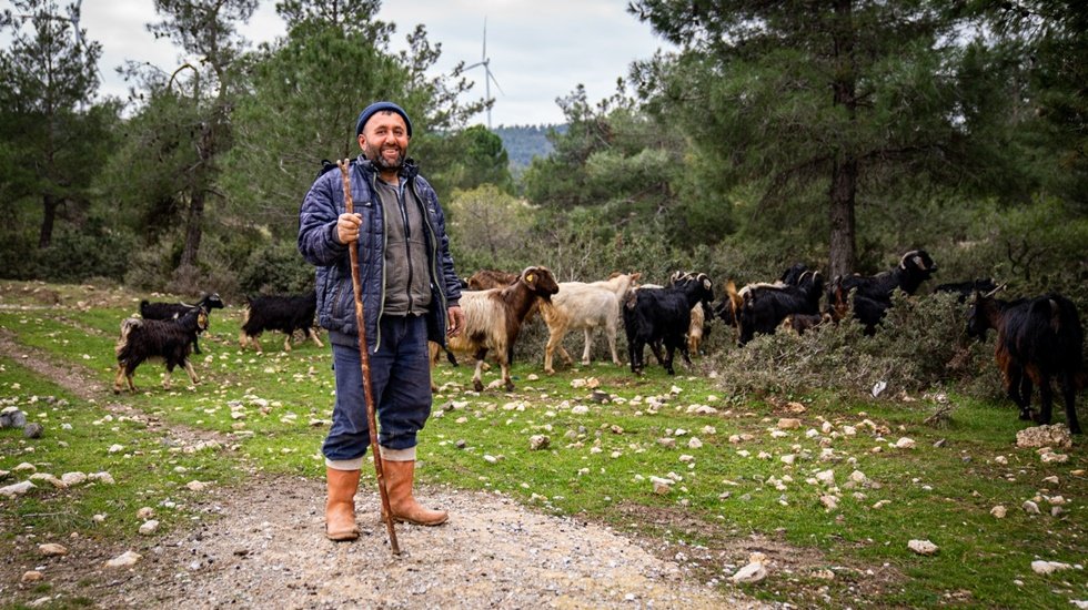 İzmir&rsquo;de &ccedil;obanlara &ldquo;start-up&rdquo; desteği