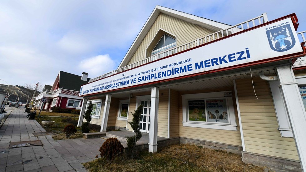 ABB veterinerleri 2022 yılında 23 bin 500 sokak hayvanı kısırlaştırdı