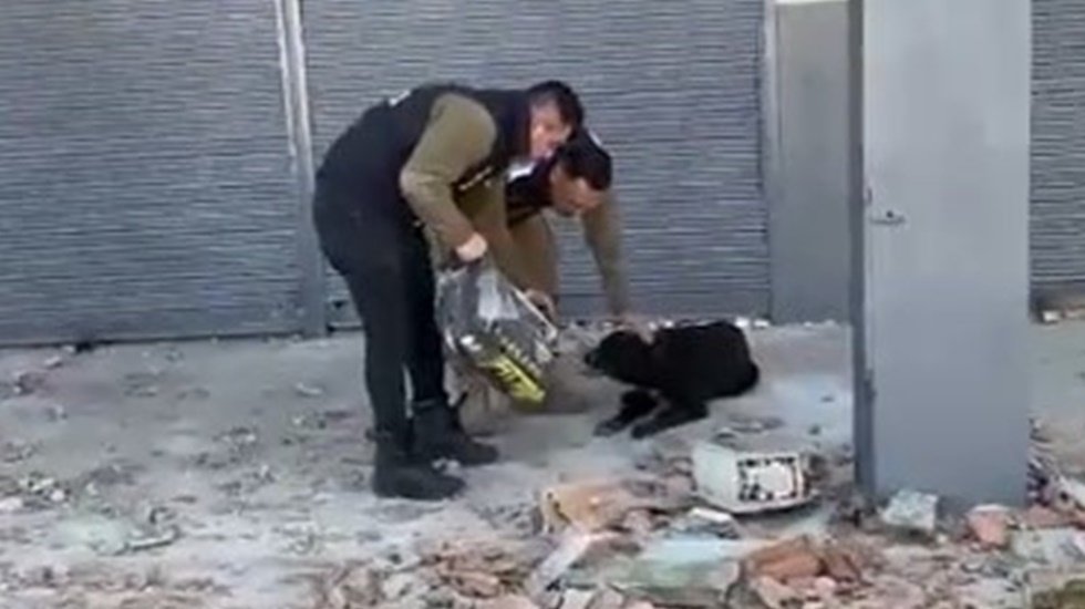 Afet b&ouml;lgesindeki sokak hayvanlarının a&ccedil; kalmaması i&ccedil;in mama ve su desteği