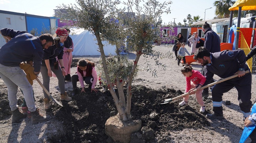 Depremzede &ccedil;ocukların diktileri zeytin ağa&ccedil;ları yaşamı ve umutları filizlendirecek