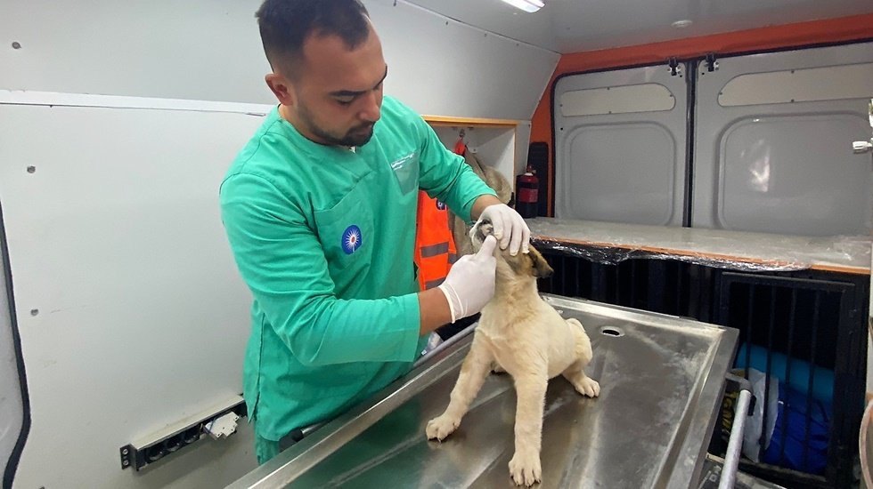 Antalya B&uuml;y&uuml;kşehir Belediyesi veterinerleri deprem b&ouml;lgesinde