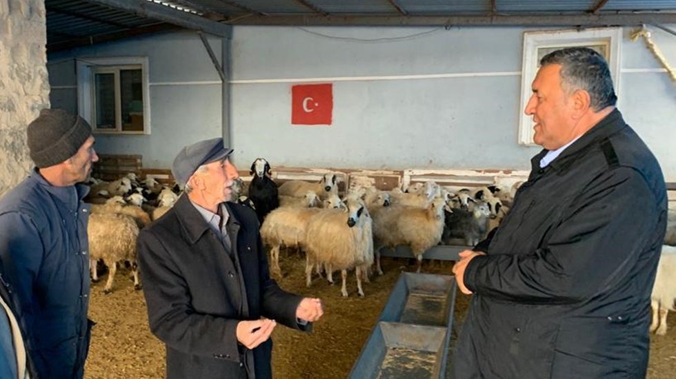 Besici kuzu etinin 300 liraya satıldığı bu d&ouml;nemde 1350 liraya canlı kuzu satıyor!