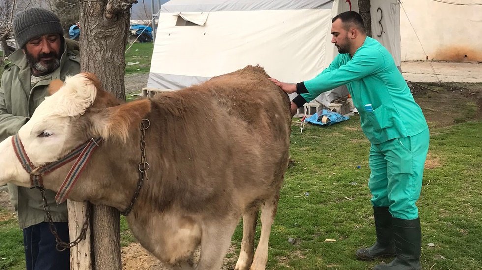 Büyükşehir’den depremden etkilenen Gaziantep’te veterinerlik hizmeti