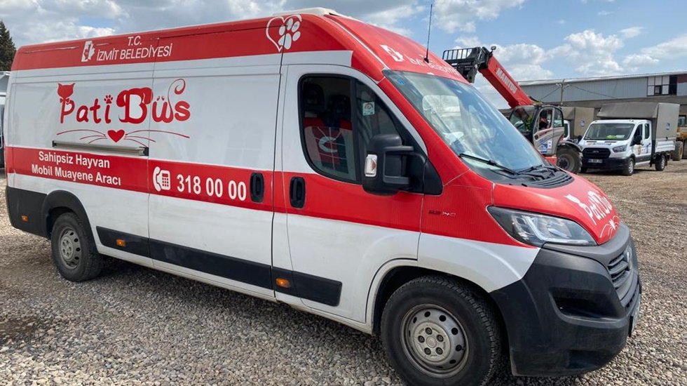 Deprem b&ouml;lgesindeki sokak hayvanları Patib&uuml;s'te tedavi ediliyor