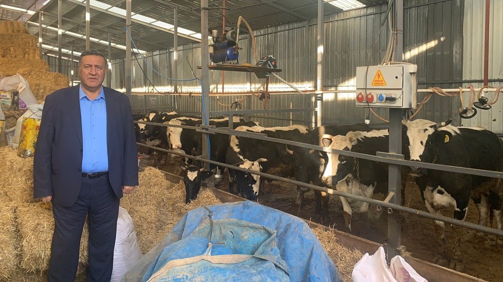 Et ve s&uuml;tte zor s&uuml;rece gidiliyor. 4 milyon baş besi hayvanı eksildi!