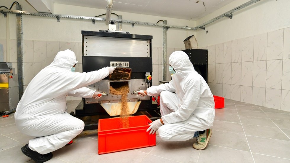 İzmir B&uuml;y&uuml;kşehir Belediyesi sokak hayvanları i&ccedil;in mama &uuml;retimine başladı