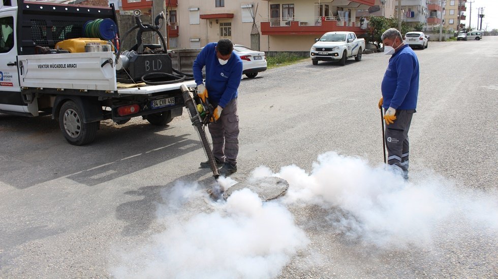 Sineksiz yaz i&ccedil;in vekt&ouml;rel m&uuml;cadele