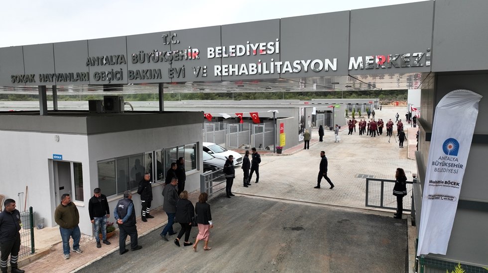 Sokak hayvanları i&ccedil;in T&uuml;rkiye&rsquo;nin en modern tesisi Antalya'da