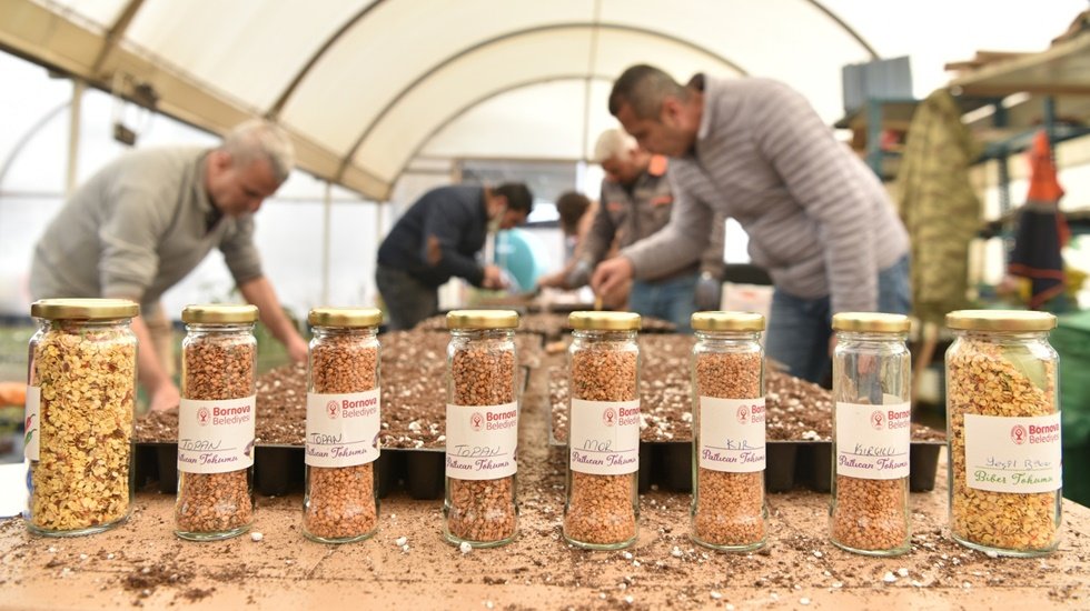 Bornova&rsquo;da hedef 50 milyon atalık tohum