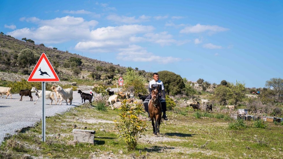 Bu proje ile gen&ccedil; &ccedil;obanlar meralara d&ouml;necek