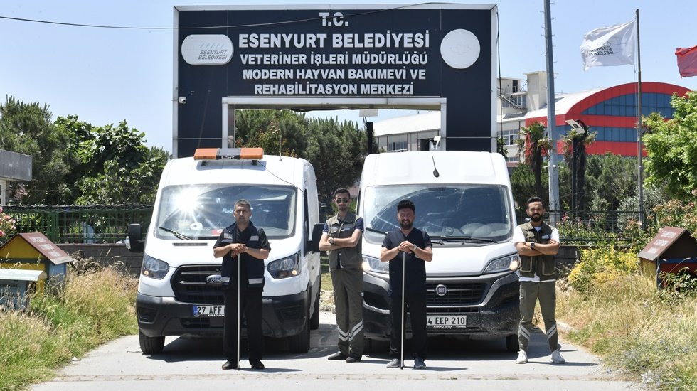 Esenyurt'ta kaçak hayvanları yakalamak için kurban yakalama timleri kuruldu.