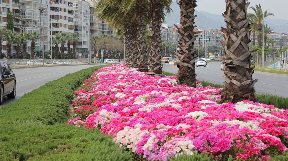 İzmir&rsquo;in yolları &ccedil;i&ccedil;ek a&ccedil;tı