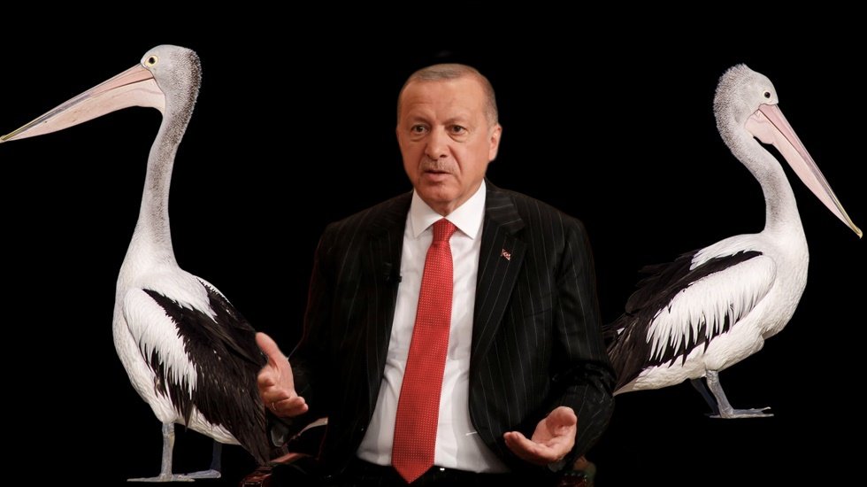 Pelikancılar Erdoğan&rsquo;a karşı d&uuml;ğmeye bastılar...