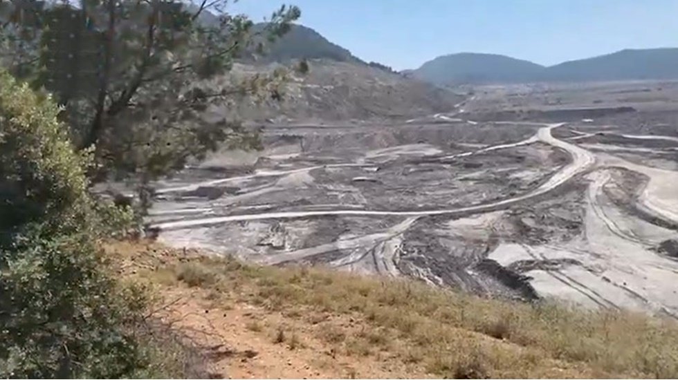 Ağa&ccedil; kıyımı yapan firmanın devletten aldığı teşvik tutarı ortaya &ccedil;ıktı!