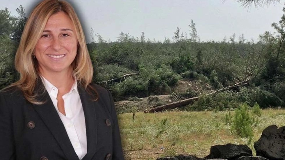 Ormanı katleden Holding'in patronu 'Doğal Hayatı Koruma Vakfı' &uuml;yesi &ccedil;ıktı