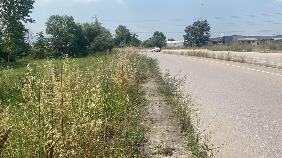 Torun: Ot siyaseti yapan AKP&rsquo;liler buraları g&ouml;rm&uuml;yorlar mı?