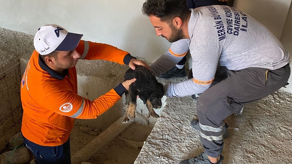 Asans&ouml;r boşluğuna d&uuml;şen g&ouml;zleri g&ouml;rmeyen yavru k&ouml;pek kurtarıldı...