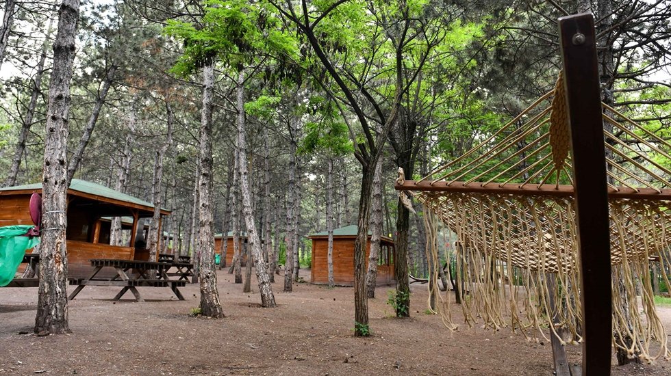 Başkentlilere nefes aldıran Hacıkadın Kent Ormanı&rsquo;nı yeniledi