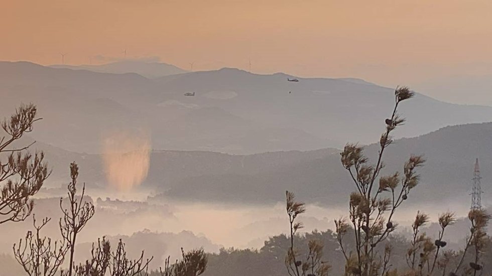 Yangının ardından yeşil &Ccedil;anakkale, griye d&ouml;nd&uuml;...