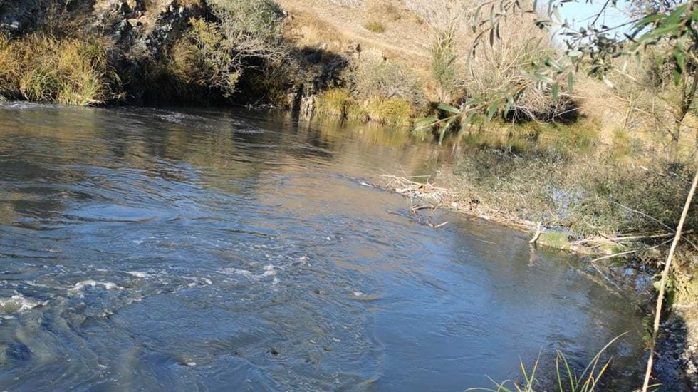 Bolu Gerede &ccedil;ayında &ccedil;evre felaketi yaşanıyor