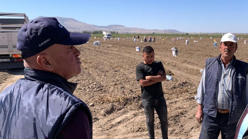 Atanamayan &ouml;ğretmenler&nbsp;tarlada&nbsp;ırgatlık yapıyor&rdquo;