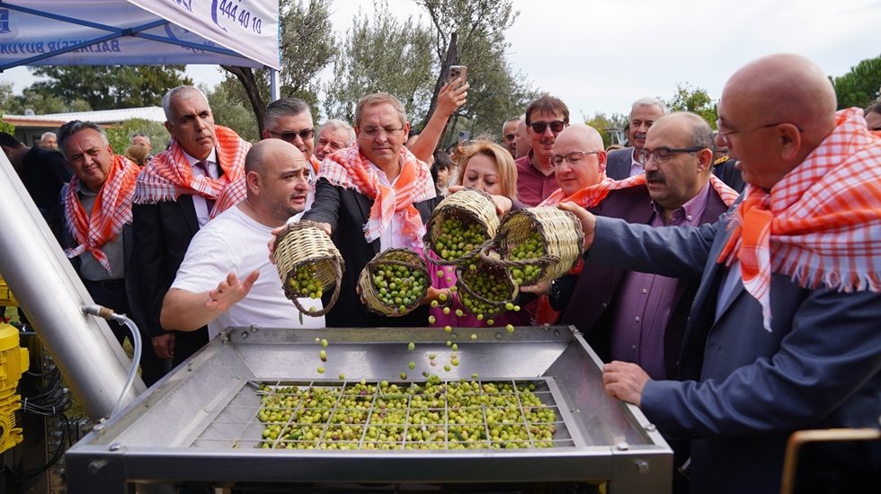 İlk hasat ve zeytinyağı sıkımı yapıldı
