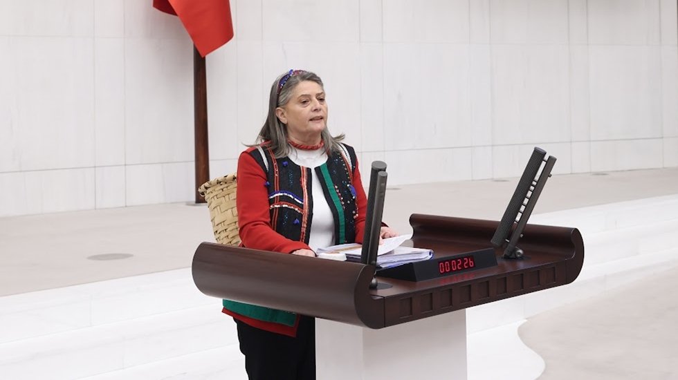 CHP'li Vekil, K&uuml;rs&uuml;ye y&ouml;resel kıyafetler ve sırtında sepet ile &ccedil;ıktı...