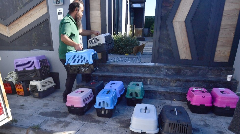 İzmir&rsquo;de bir yılda bin 600 hayvan mahallesinde kısırlaştırıldı