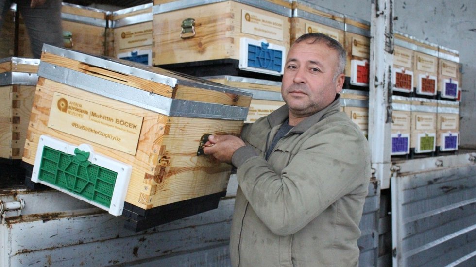 Antalya Kemer&rsquo;de arı &uuml;reticilerine kovan desteği
