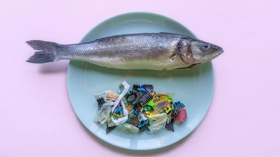 Mikroplastik kirliliği, bitkilerin sağlığını ve büyümesini de olumsuz etkilemektedir.