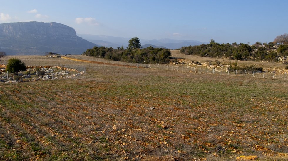 B&uuml;y&uuml;kşehir atıl arazileri tarıma kazandırıyor&hellip;