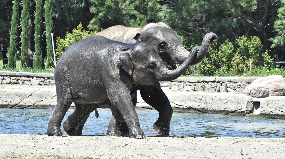 İzmir Doğal Yaşam Parkı&rsquo;na pazartesi tatili
