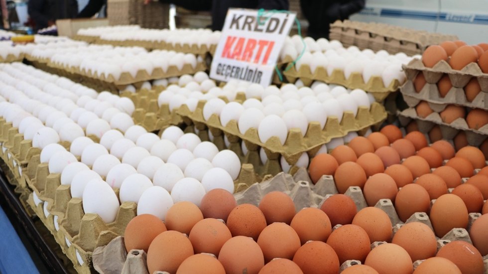 Yumurta fiyatları 10 lirayı geçti, vatandaş en ucuz protein kaynağına bile ulaşamıyor...