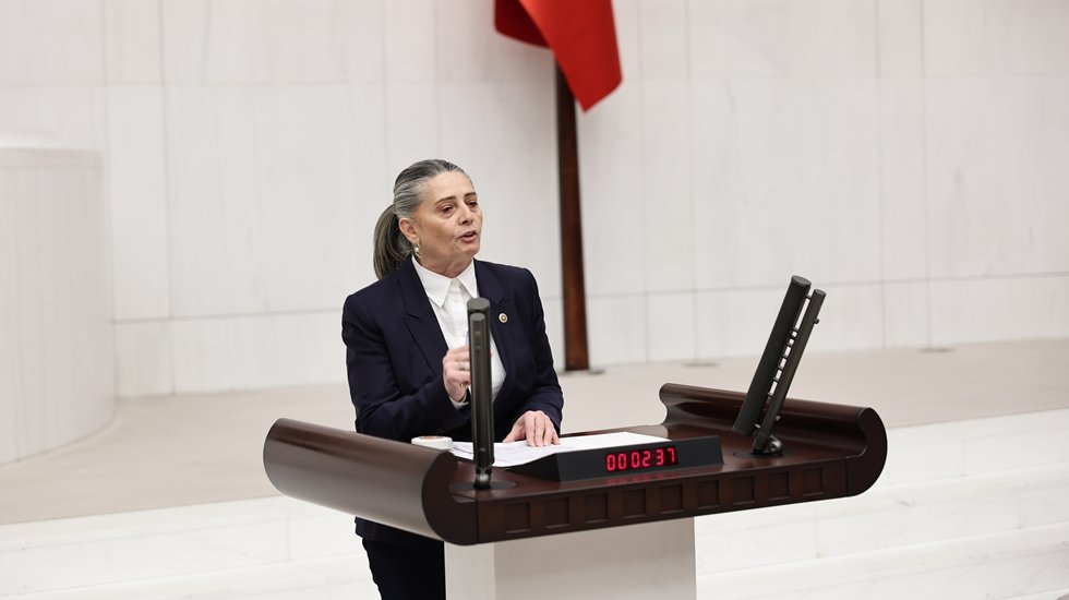 CHP Milletvekili Sibel Sui&ccedil;mez'den Mecliste Eylem