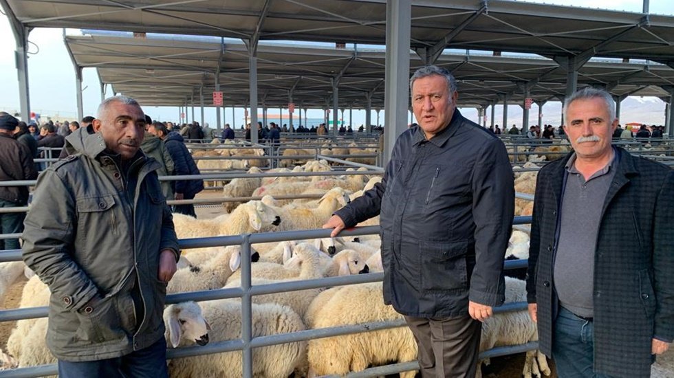 Kurban Bayramı yaklaşırken s&uuml;r&uuml; sahibi: &ldquo;Satıp bırakacağım&rdquo;