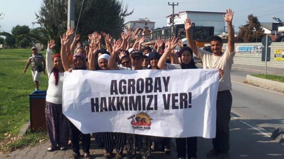 Sendikaya &uuml;ye olduktan sonra işten &ccedil;ıkarılan Agrobay iş&ccedil;ileri Ankaraya y&uuml;r&uuml;yecek...