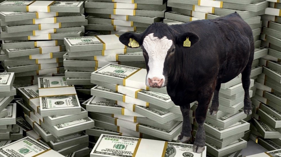 Sadece 2023 yılında hayvan yemi ithalatına 5.1 milyar dolar ödendi 