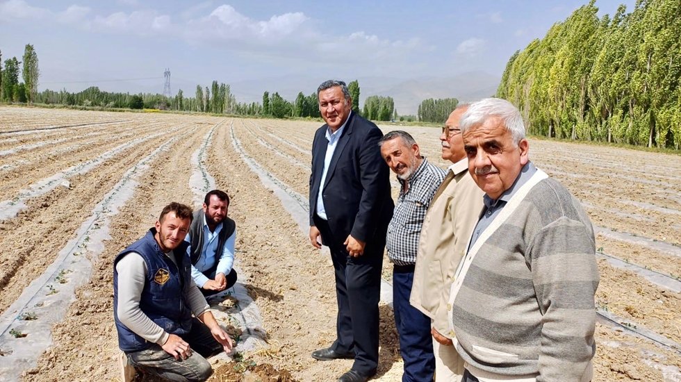 22 senede &ccedil;ift&ccedil;iyi batırdılar