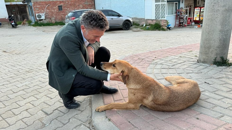 Ben &ouml;l&uuml;m&uuml;n, &ouml;ld&uuml;rmenin değil, yaşamın, yaşatmanın safında olacağım...